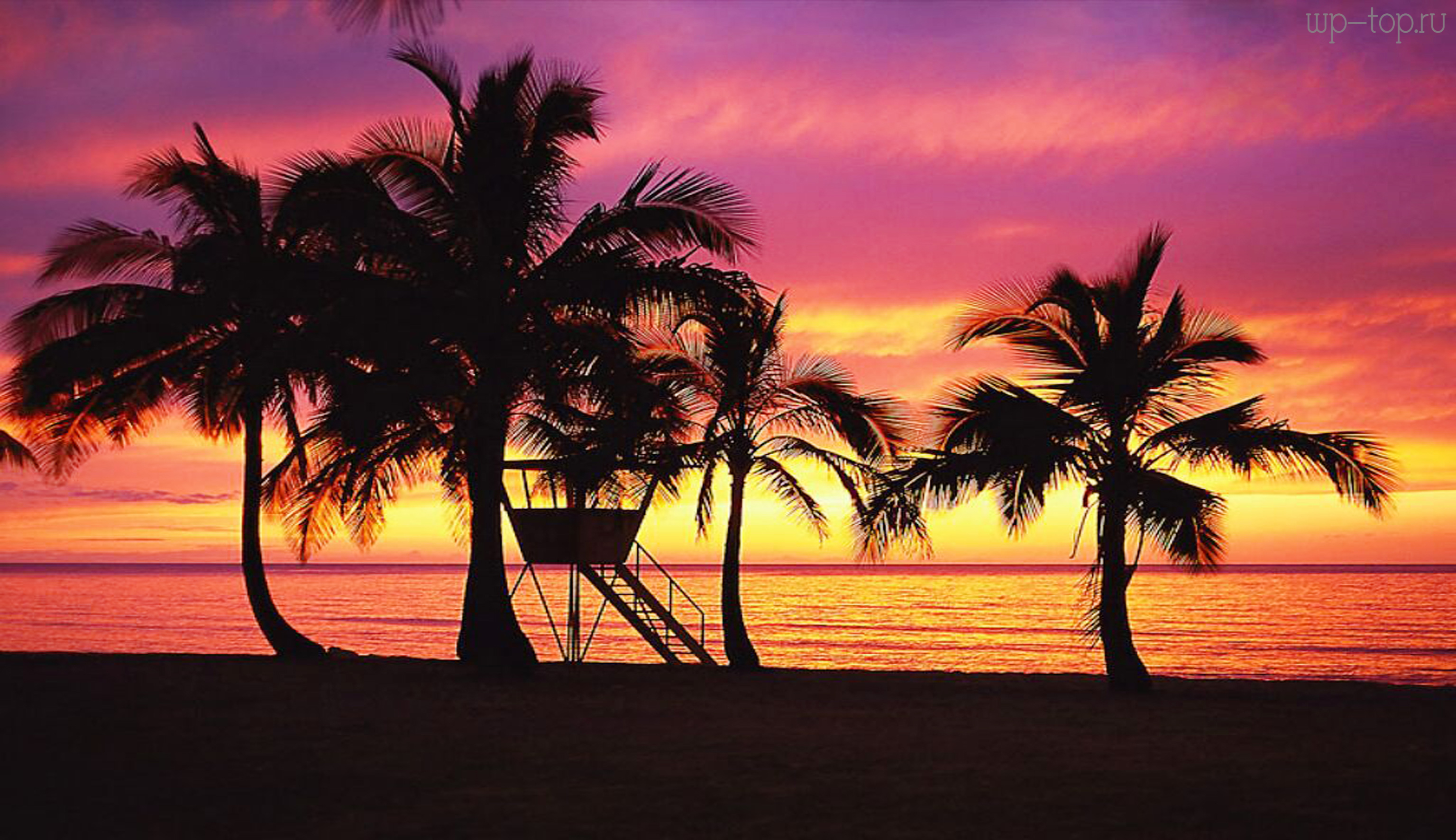 Гавайи пальмы