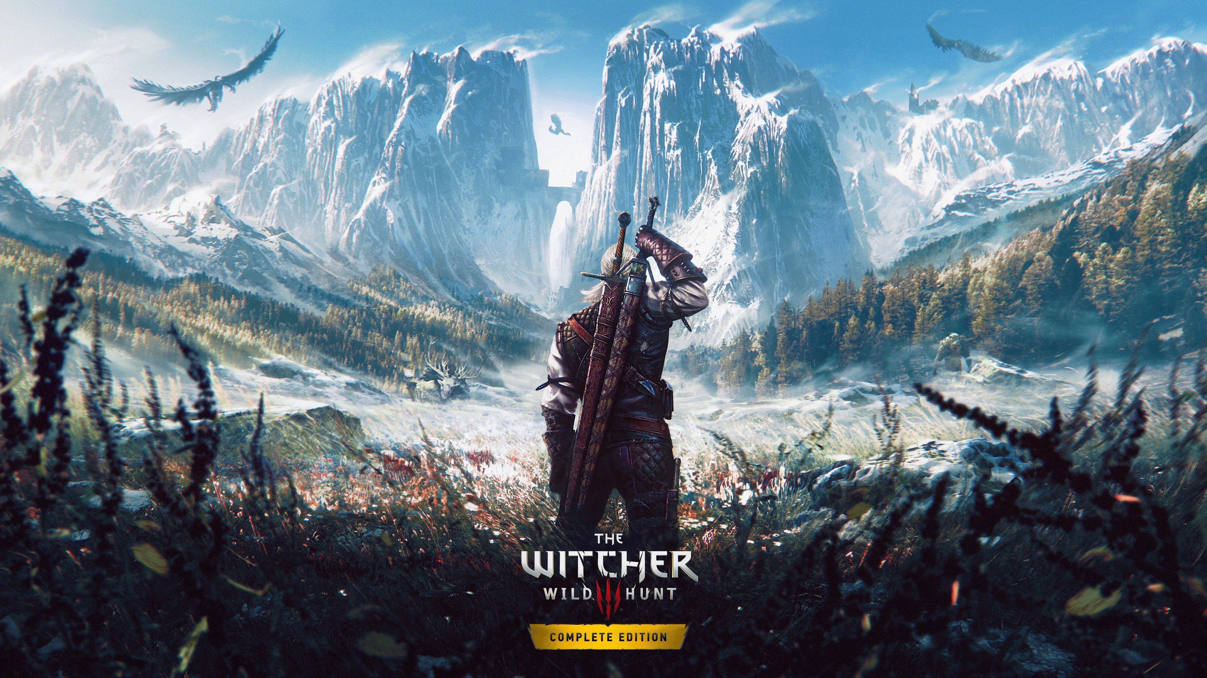 The witcher 3 e3 combat фото 97