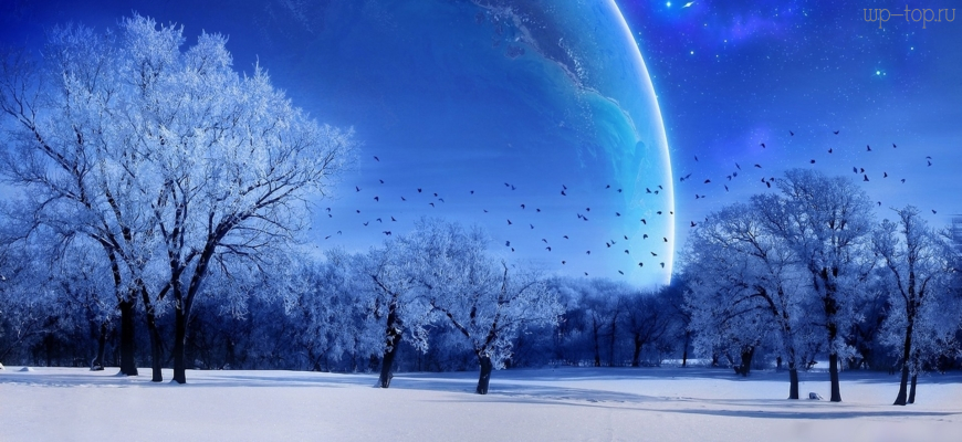 Обои зима, снег, планета, звезды, небо, деревья, голубой, луна картинки на рабочий  стол, фото - Стиль - ТОП лучших обоев для рабочего стола