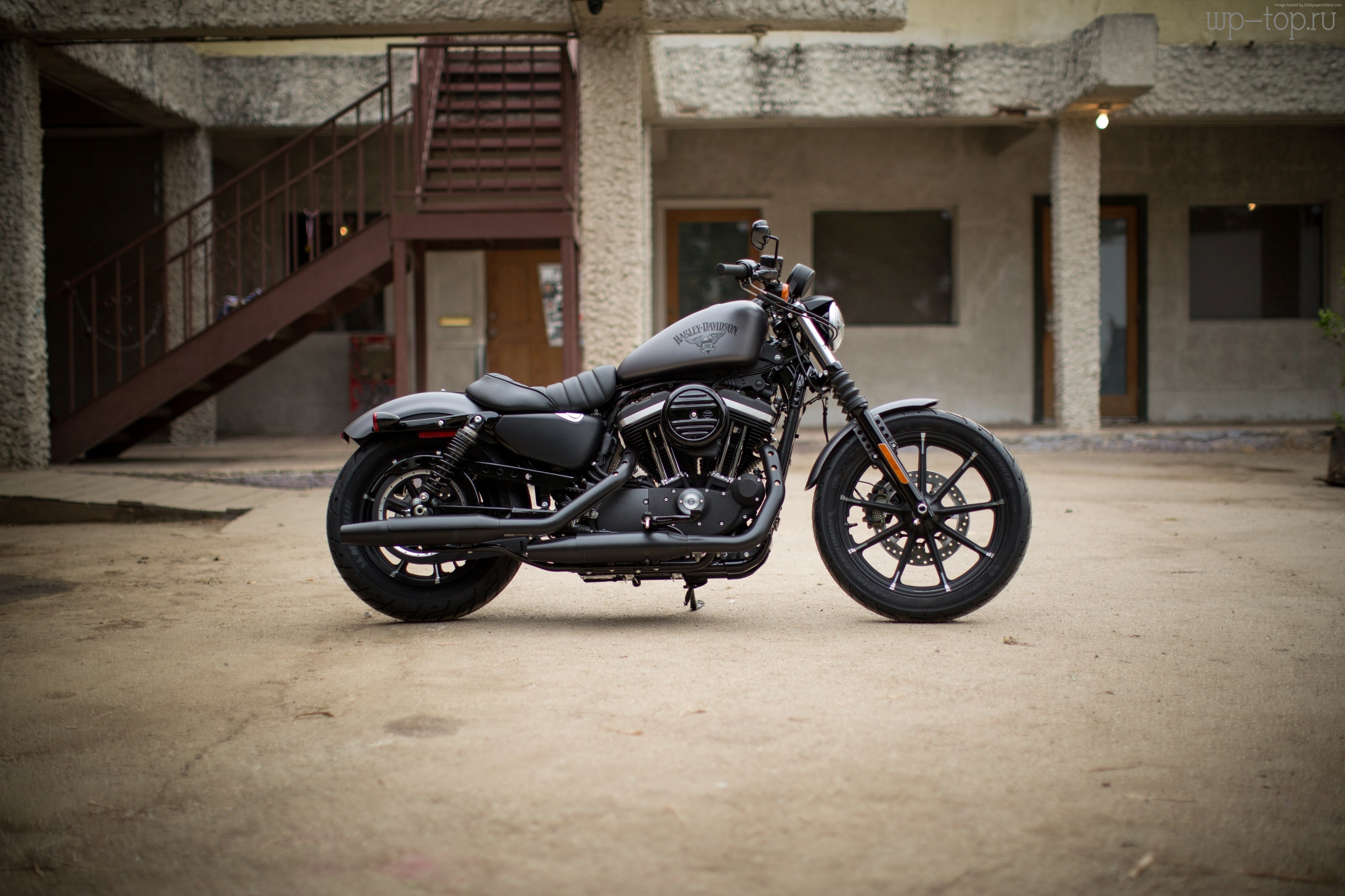 Harley Davidson Sportster Chicano