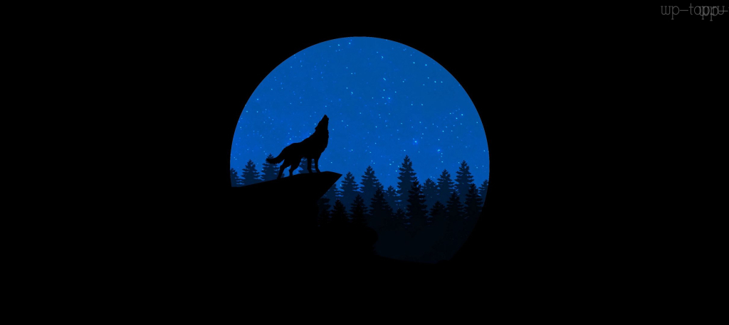 2420x1080 волк, луна, лес, ель, синий, черный обои