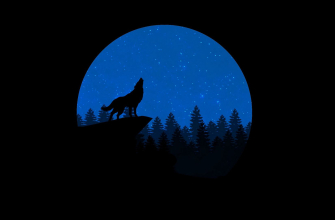 2420x1080 волк, луна, лес, ель, синий, черный обои