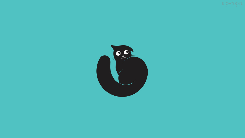 2800x1574 кошка, кот, черный, голубой, фон обои