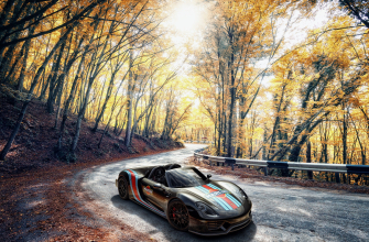 3840x2400 осень, авто, машина, car, Порше, Porsche, 918, черный, дорога, асфальт, деревья, желтый, листья, в движении обои